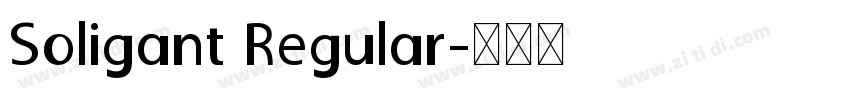 Soligant Regular字体转换